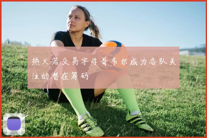 热火若交易字母哥韦尔成为各队关注的潜在筹码