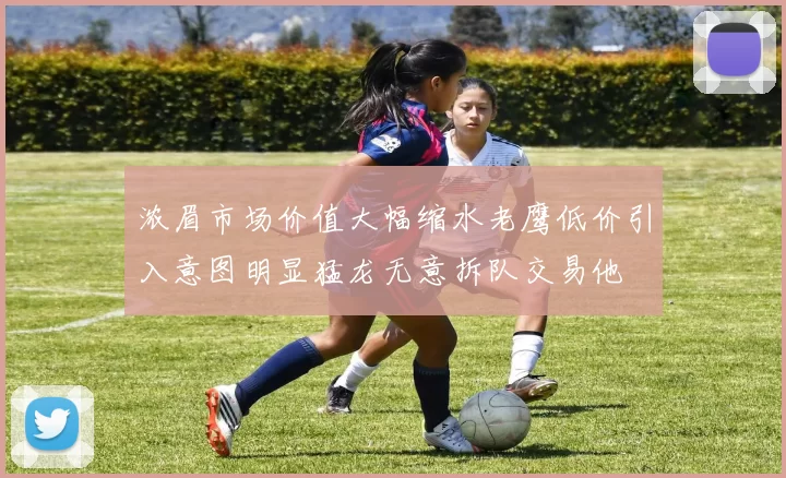 浓眉市场价值大幅缩水老鹰低价引入意图明显猛龙无意拆队交易他